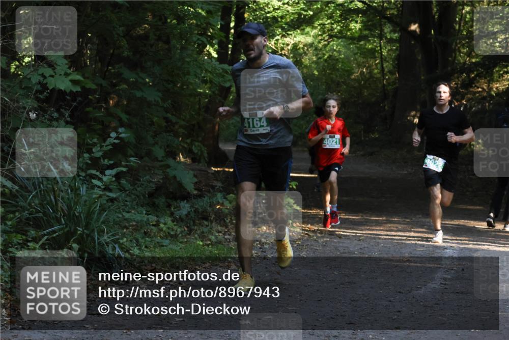 28.09.2025 - 33. Volkslauf durch das schöne Alstertal Strokosch-Dieckow http://msf.ph/oto/8967943 28.09.2025 10:49:25 Laufen 4164, 4021 meine-sportfotos.de
