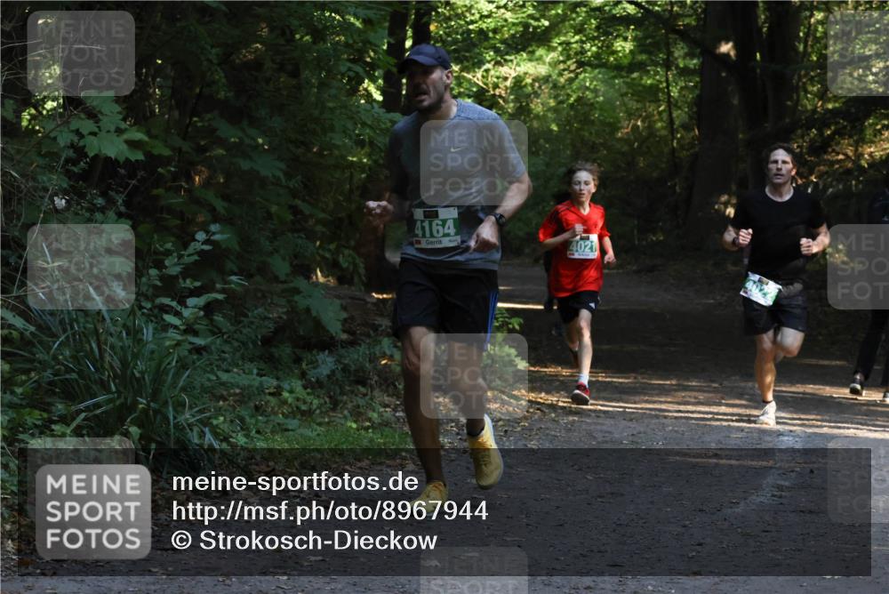 28.09.2025 - 33. Volkslauf durch das schöne Alstertal Strokosch-Dieckow http://msf.ph/oto/8967944 28.09.2025 10:49:25 Laufen 4164, 4021 meine-sportfotos.de