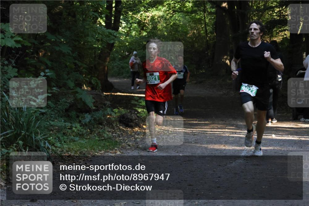 28.09.2025 - 33. Volkslauf durch das schöne Alstertal Strokosch-Dieckow http://msf.ph/oto/8967947 28.09.2025 10:49:26 Laufen 4021, 902 meine-sportfotos.de