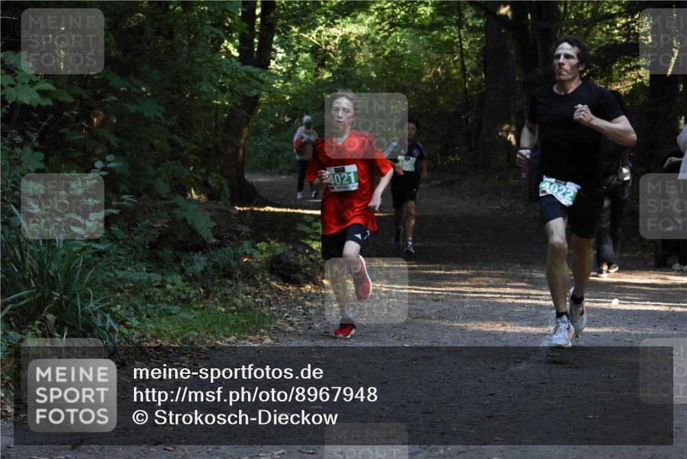 28.09.2025 - 33. Volkslauf durch das schöne Alstertal Strokosch-Dieckow http://msf.ph/oto/8967948 28.09.2025 10:49:26 Laufen 4021, 4902, 4022 meine-sportfotos.de