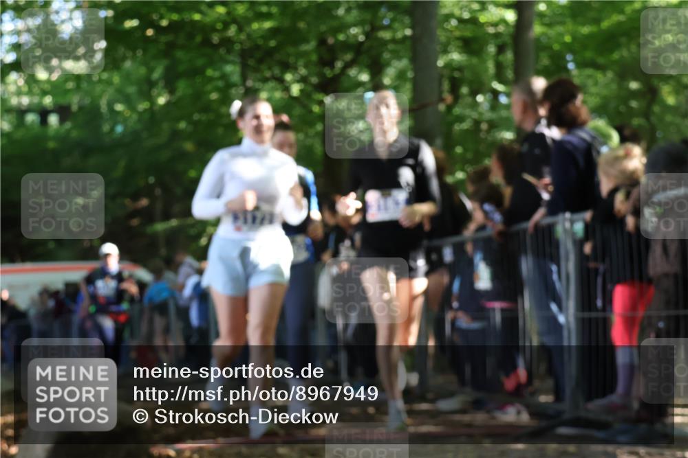 28.09.2025 - 33. Volkslauf durch das schöne Alstertal Strokosch-Dieckow http://msf.ph/oto/8967949 28.09.2025 11:46:40 Ziel 2455, 3153, 3162, 3163, 3172 meine-sportfotos.de