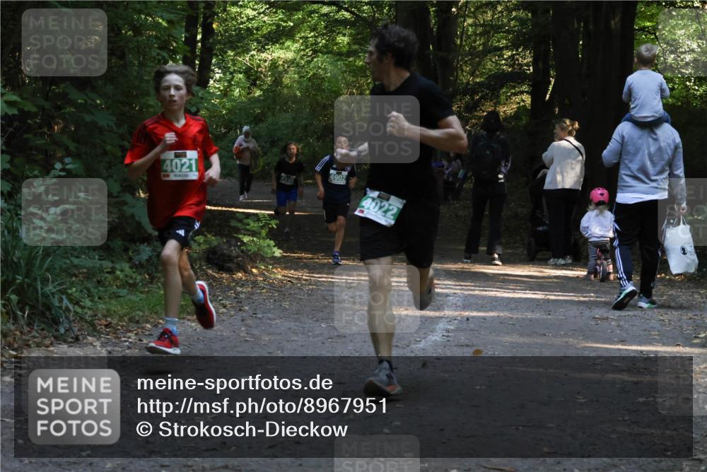 28.09.2025 - 33. Volkslauf durch das schöne Alstertal Strokosch-Dieckow http://msf.ph/oto/8967951 28.09.2025 10:49:27 Laufen 4021, 4902, 4022 meine-sportfotos.de