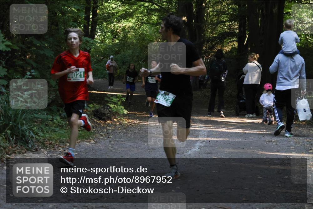 28.09.2025 - 33. Volkslauf durch das schöne Alstertal Strokosch-Dieckow http://msf.ph/oto/8967952 28.09.2025 10:49:27 Laufen 4021, 4902, 4022 meine-sportfotos.de