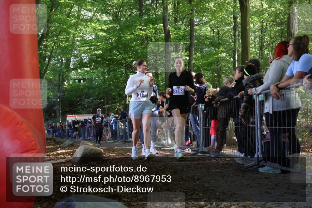 28.09.2025 - 33. Volkslauf durch das schöne Alstertal Strokosch-Dieckow http://msf.ph/oto/8967953 28.09.2025 11:46:40 Ziel 2455, 3153, 3162, 3163, 3172 meine-sportfotos.de