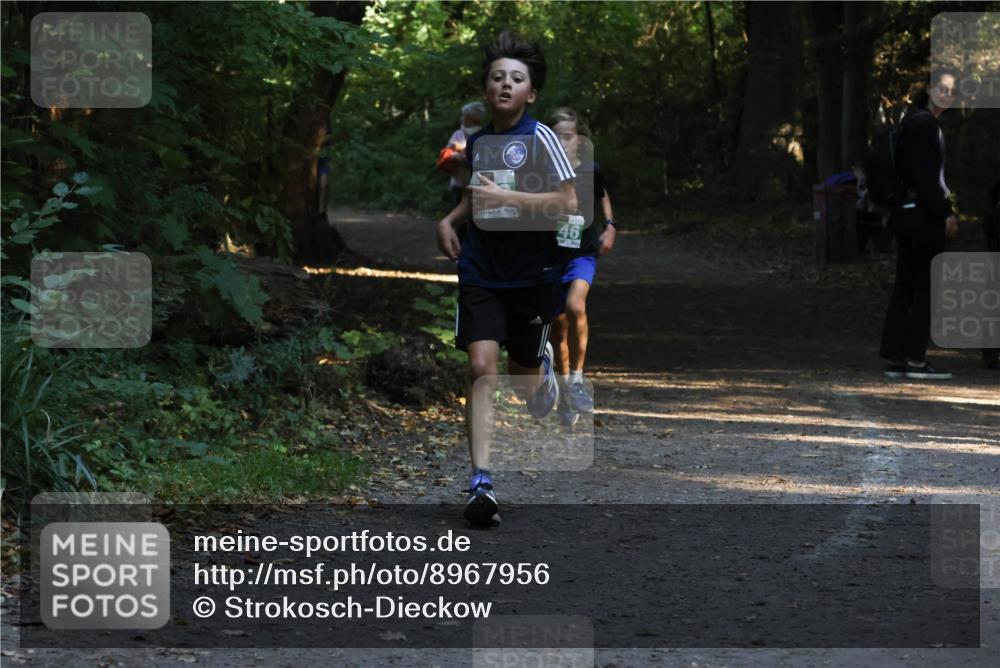 28.09.2025 - 33. Volkslauf durch das schöne Alstertal Strokosch-Dieckow http://msf.ph/oto/8967956 28.09.2025 10:49:30 Laufen 46 meine-sportfotos.de