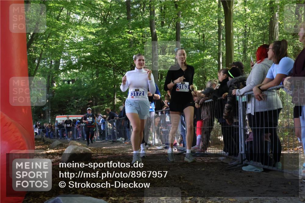 28.09.2025 - 33. Volkslauf durch das schöne Alstertal Strokosch-Dieckow http://msf.ph/oto/8967957 28.09.2025 11:46:41 Ziel 2455, 3153, 3162, 3163, 3172 meine-sportfotos.de