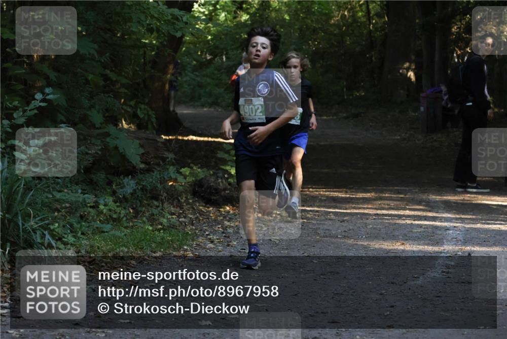 28.09.2025 - 33. Volkslauf durch das schöne Alstertal Strokosch-Dieckow http://msf.ph/oto/8967958 28.09.2025 10:49:30 Laufen 4902 meine-sportfotos.de