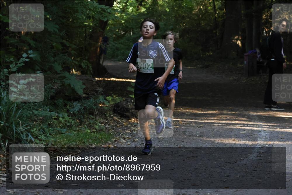 28.09.2025 - 33. Volkslauf durch das schöne Alstertal Strokosch-Dieckow http://msf.ph/oto/8967959 28.09.2025 10:49:30 Laufen 4902 meine-sportfotos.de