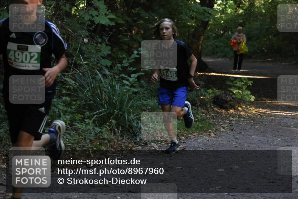 28.09.2025 - 33. Volkslauf durch das schöne Alstertal Strokosch-Dieckow http://msf.ph/oto/8967960 28.09.2025 10:49:31 Laufen 4902, 146 meine-sportfotos.de
