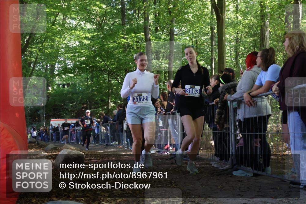28.09.2025 - 33. Volkslauf durch das schöne Alstertal Strokosch-Dieckow http://msf.ph/oto/8967961 28.09.2025 11:46:41 Ziel 2455, 3153, 3162, 3163, 3172 meine-sportfotos.de