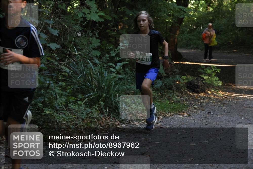 28.09.2025 - 33. Volkslauf durch das schöne Alstertal Strokosch-Dieckow http://msf.ph/oto/8967962 28.09.2025 10:49:31 Laufen 4146 meine-sportfotos.de