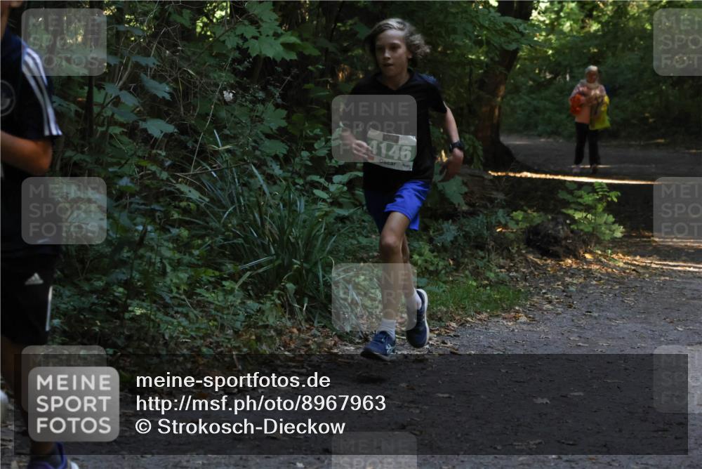 28.09.2025 - 33. Volkslauf durch das schöne Alstertal Strokosch-Dieckow http://msf.ph/oto/8967963 28.09.2025 10:49:31 Laufen 4146 meine-sportfotos.de