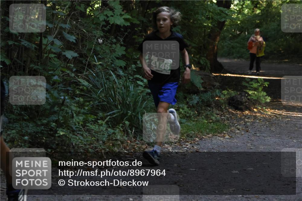 28.09.2025 - 33. Volkslauf durch das schöne Alstertal Strokosch-Dieckow http://msf.ph/oto/8967964 28.09.2025 10:49:32 Laufen 4146 meine-sportfotos.de