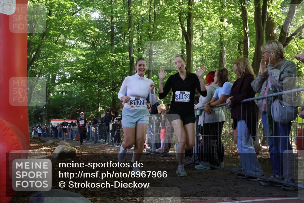 28.09.2025 - 33. Volkslauf durch das schöne Alstertal Strokosch-Dieckow http://msf.ph/oto/8967966 28.09.2025 11:46:41 Ziel 2455, 3153, 3162, 3163, 3172 meine-sportfotos.de