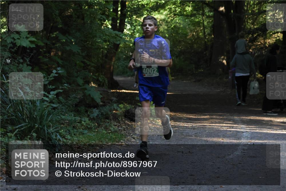 28.09.2025 - 33. Volkslauf durch das schöne Alstertal Strokosch-Dieckow http://msf.ph/oto/8967967 28.09.2025 10:49:40 Laufen 4002 meine-sportfotos.de