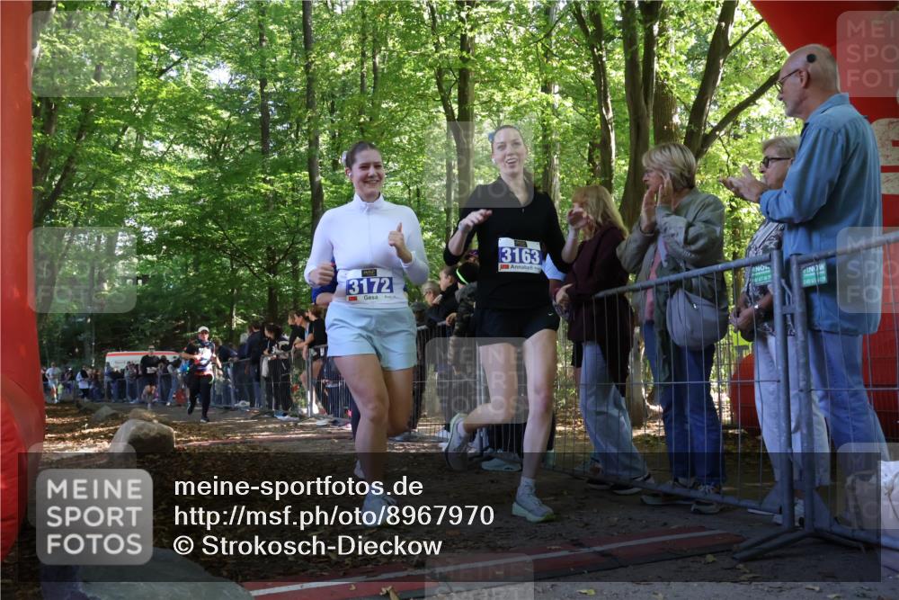 28.09.2025 - 33. Volkslauf durch das schöne Alstertal Strokosch-Dieckow http://msf.ph/oto/8967970 28.09.2025 11:46:42 Ziel 1802, 2455, 3153, 3162 meine-sportfotos.de