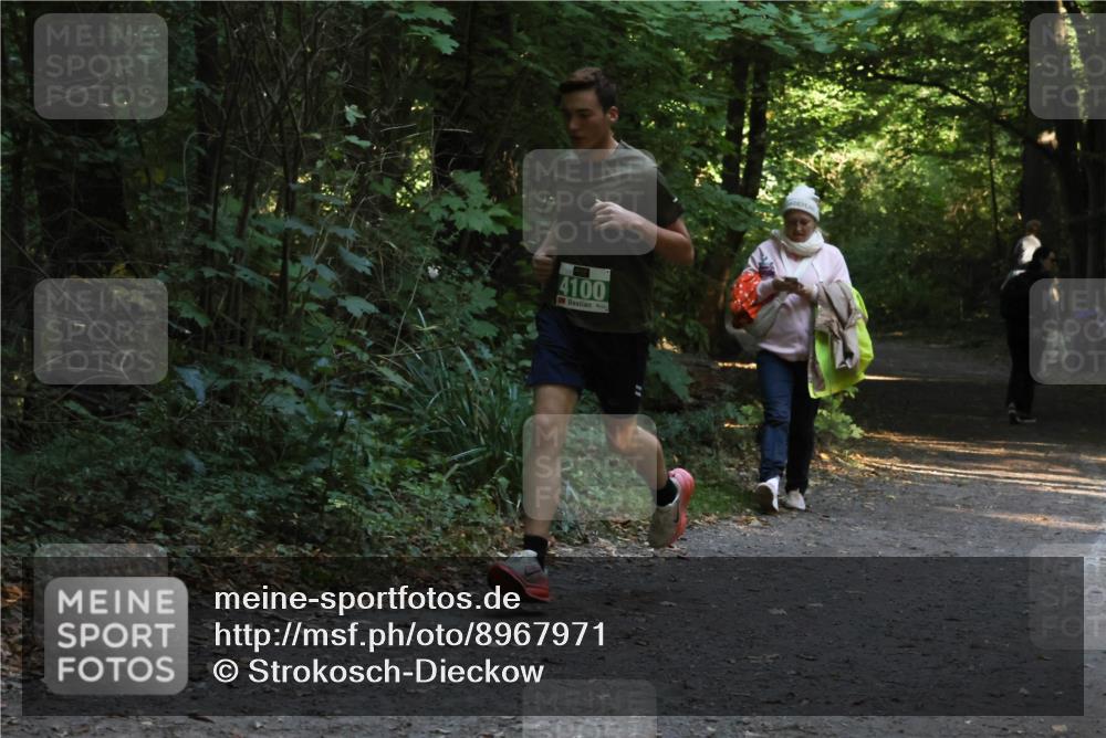 28.09.2025 - 33. Volkslauf durch das schöne Alstertal Strokosch-Dieckow http://msf.ph/oto/8967971 28.09.2025 10:49:49 Laufen 4100 meine-sportfotos.de