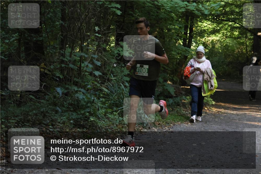 28.09.2025 - 33. Volkslauf durch das schöne Alstertal Strokosch-Dieckow http://msf.ph/oto/8967972 28.09.2025 10:49:49 Laufen 4100 meine-sportfotos.de