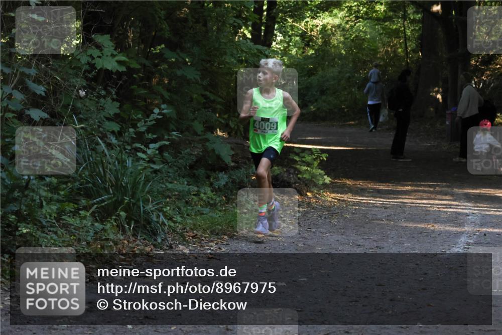 28.09.2025 - 33. Volkslauf durch das schöne Alstertal Strokosch-Dieckow http://msf.ph/oto/8967975 28.09.2025 10:50:01 Laufen 4009 meine-sportfotos.de
