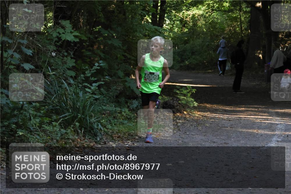 28.09.2025 - 33. Volkslauf durch das schöne Alstertal Strokosch-Dieckow http://msf.ph/oto/8967977 28.09.2025 10:50:02 Laufen 4009 meine-sportfotos.de