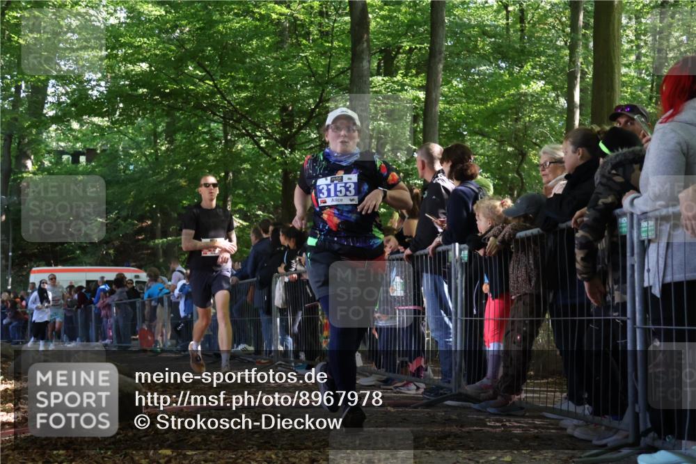 28.09.2025 - 33. Volkslauf durch das schöne Alstertal Strokosch-Dieckow http://msf.ph/oto/8967978 28.09.2025 11:46:44 Ziel 1802, 2455, 3153, 3901 meine-sportfotos.de