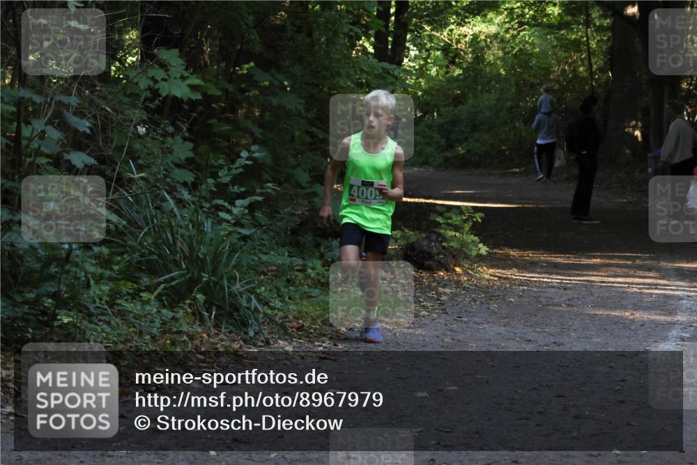 28.09.2025 - 33. Volkslauf durch das schöne Alstertal Strokosch-Dieckow http://msf.ph/oto/8967979 28.09.2025 10:50:02 Laufen 400 meine-sportfotos.de