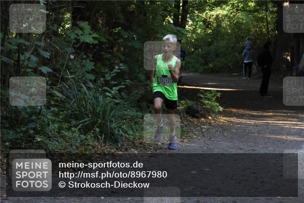 28.09.2025 - 33. Volkslauf durch das schöne Alstertal Strokosch-Dieckow http://msf.ph/oto/8967980 28.09.2025 10:50:02 Laufen 4009 meine-sportfotos.de
