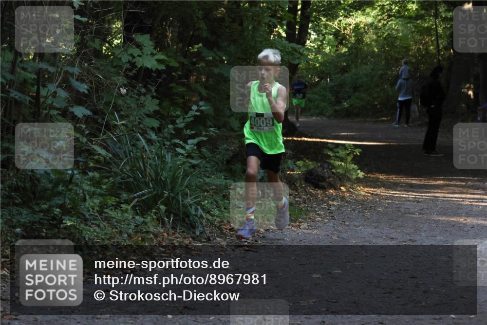 28.09.2025 - 33. Volkslauf durch das schöne Alstertal Strokosch-Dieckow http://msf.ph/oto/8967981 28.09.2025 10:50:02 Laufen 4009 meine-sportfotos.de