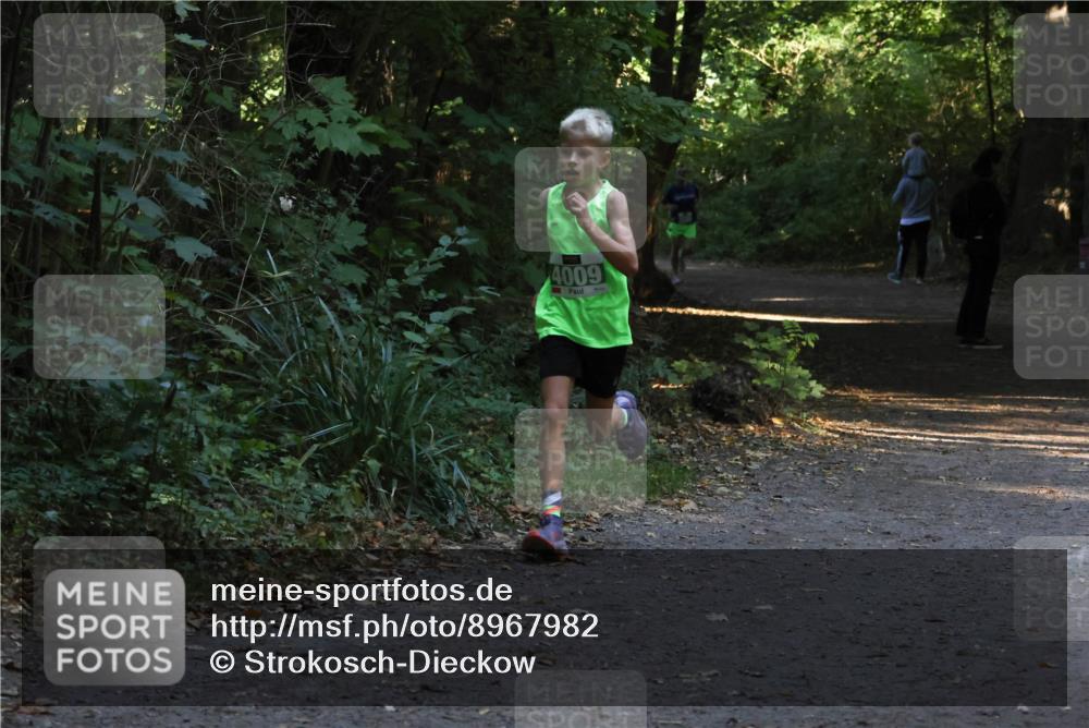 28.09.2025 - 33. Volkslauf durch das schöne Alstertal Strokosch-Dieckow http://msf.ph/oto/8967982 28.09.2025 10:50:02 Laufen 4009 meine-sportfotos.de