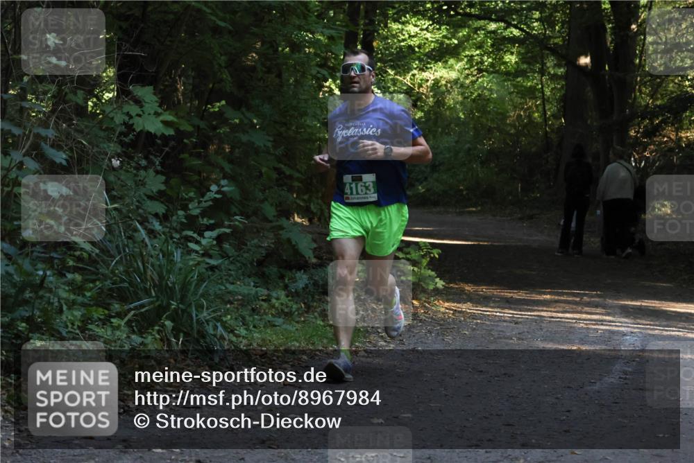 28.09.2025 - 33. Volkslauf durch das schöne Alstertal Strokosch-Dieckow http://msf.ph/oto/8967984 28.09.2025 10:50:11 Laufen 4163 meine-sportfotos.de