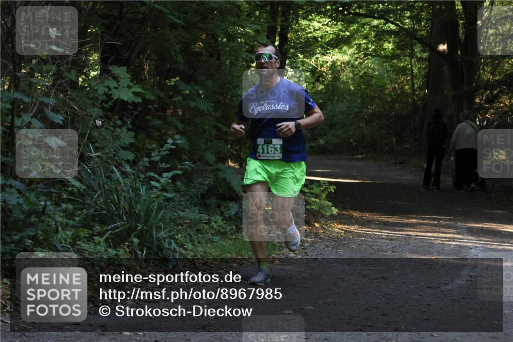 28.09.2025 - 33. Volkslauf durch das schöne Alstertal Strokosch-Dieckow http://msf.ph/oto/8967985 28.09.2025 10:50:11 Laufen 4163 meine-sportfotos.de
