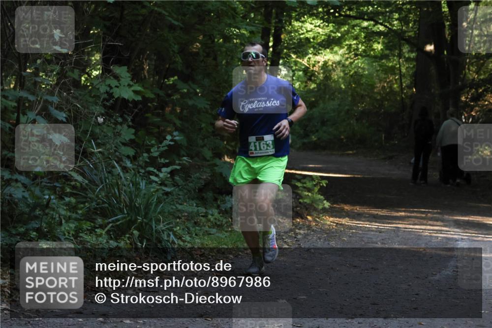 28.09.2025 - 33. Volkslauf durch das schöne Alstertal Strokosch-Dieckow http://msf.ph/oto/8967986 28.09.2025 10:50:11 Laufen 4163 meine-sportfotos.de