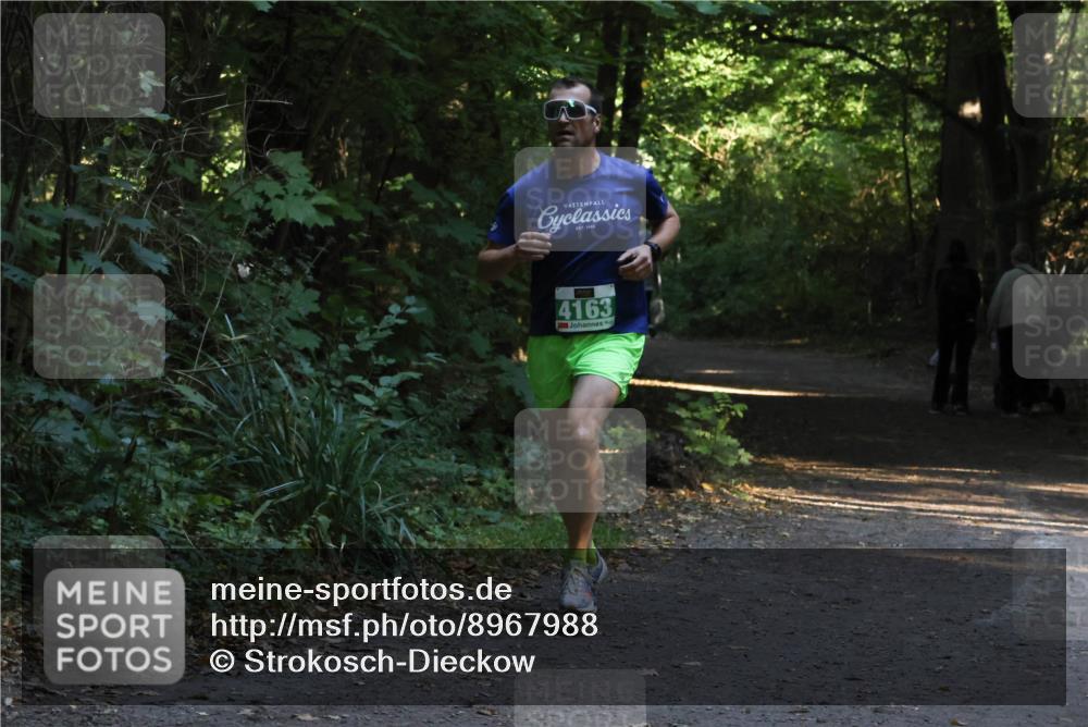 28.09.2025 - 33. Volkslauf durch das schöne Alstertal Strokosch-Dieckow http://msf.ph/oto/8967988 28.09.2025 10:50:11 Laufen 4163 meine-sportfotos.de