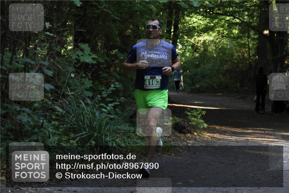 28.09.2025 - 33. Volkslauf durch das schöne Alstertal Strokosch-Dieckow http://msf.ph/oto/8967990 28.09.2025 10:50:12 Laufen 4163 meine-sportfotos.de