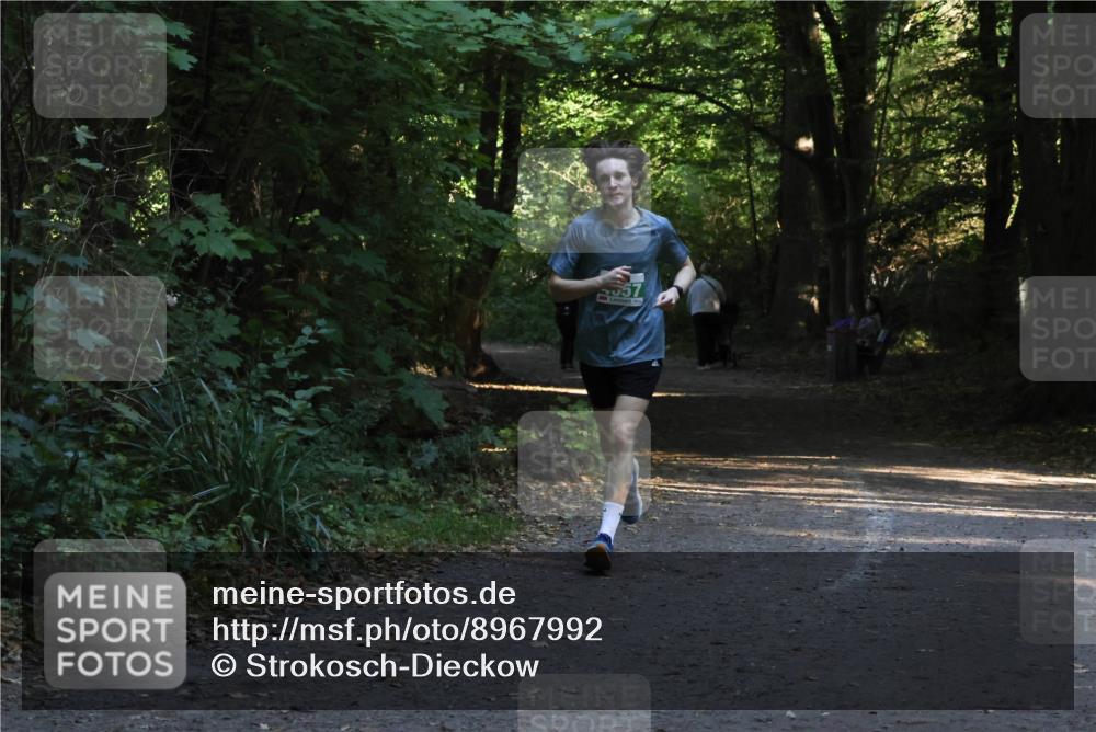 28.09.2025 - 33. Volkslauf durch das schöne Alstertal Strokosch-Dieckow http://msf.ph/oto/8967992 28.09.2025 10:50:29 Laufen  meine-sportfotos.de