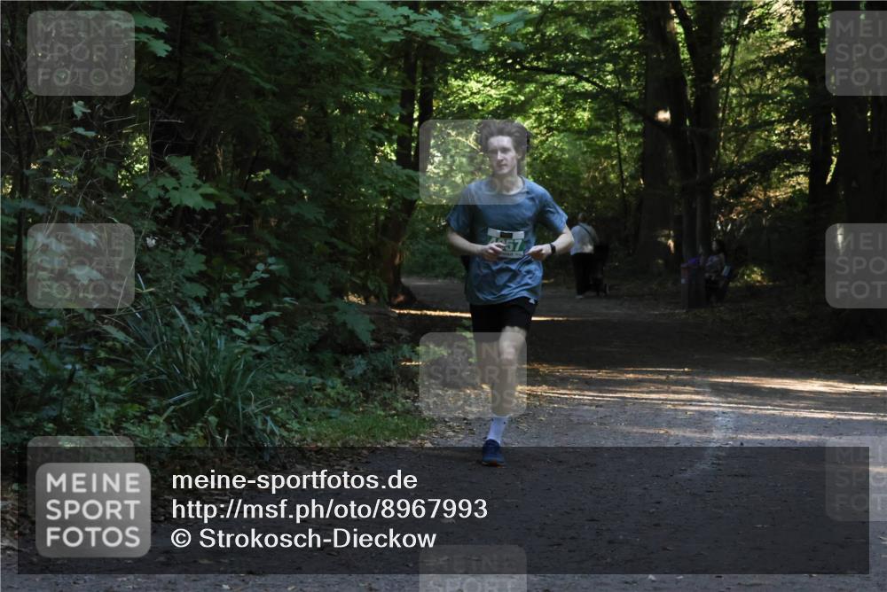 28.09.2025 - 33. Volkslauf durch das schöne Alstertal Strokosch-Dieckow http://msf.ph/oto/8967993 28.09.2025 10:50:29 Laufen  meine-sportfotos.de