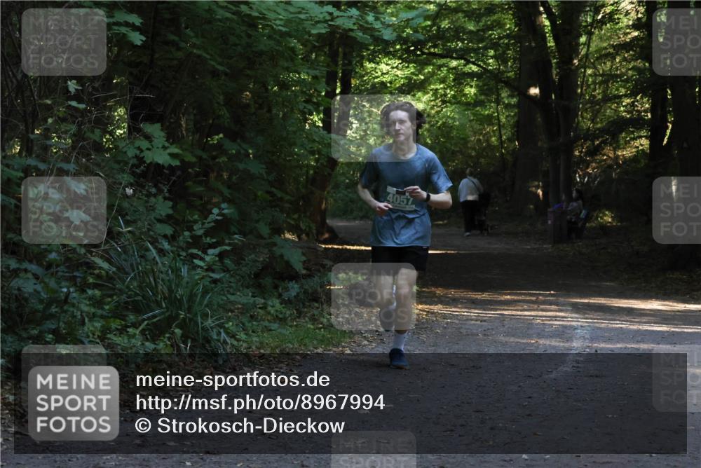 28.09.2025 - 33. Volkslauf durch das schöne Alstertal Strokosch-Dieckow http://msf.ph/oto/8967994 28.09.2025 10:50:29 Laufen 4057 meine-sportfotos.de