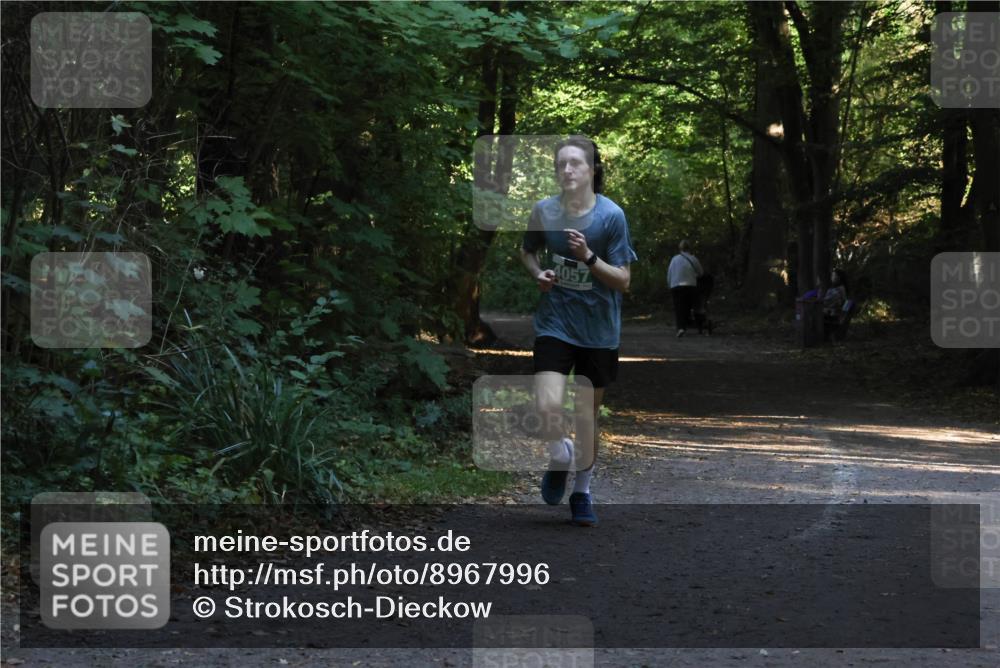 28.09.2025 - 33. Volkslauf durch das schöne Alstertal Strokosch-Dieckow http://msf.ph/oto/8967996 28.09.2025 10:50:29 Laufen 4057 meine-sportfotos.de