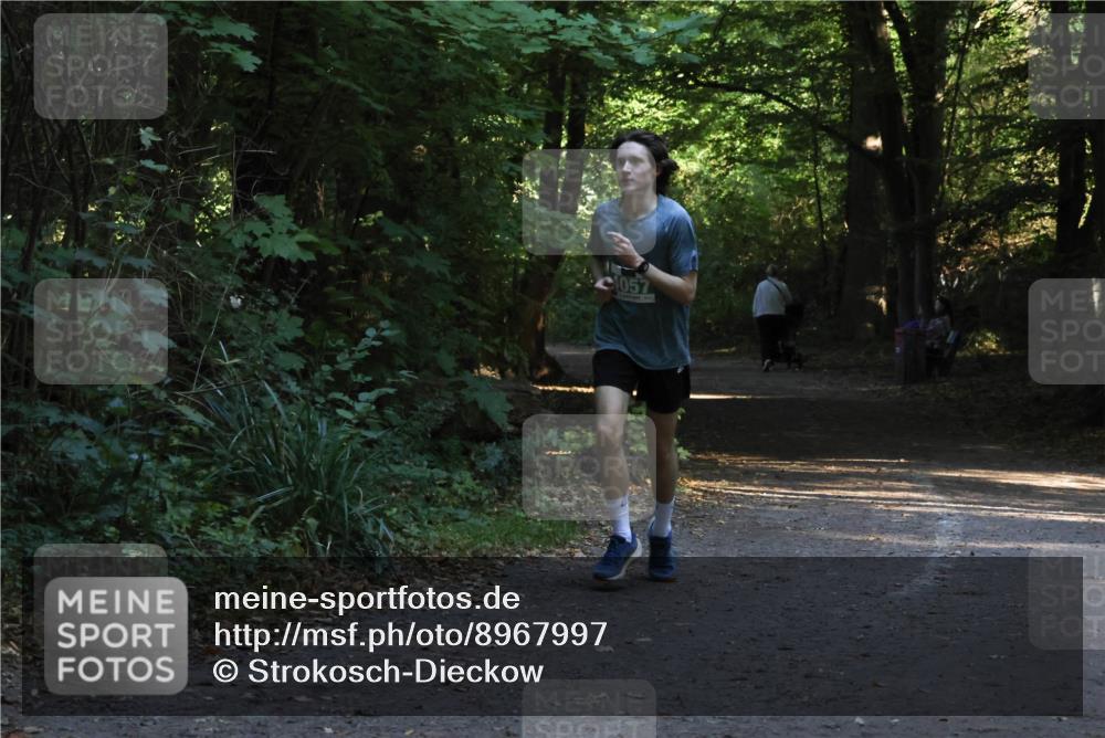 28.09.2025 - 33. Volkslauf durch das schöne Alstertal Strokosch-Dieckow http://msf.ph/oto/8967997 28.09.2025 10:50:29 Laufen 1057 meine-sportfotos.de
