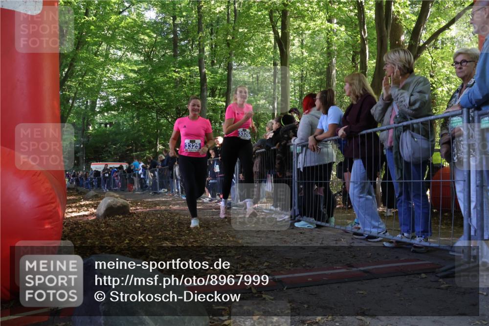 28.09.2025 - 33. Volkslauf durch das schöne Alstertal Strokosch-Dieckow http://msf.ph/oto/8967999 28.09.2025 11:46:56 Ziel 3158, 3325, 3326 meine-sportfotos.de