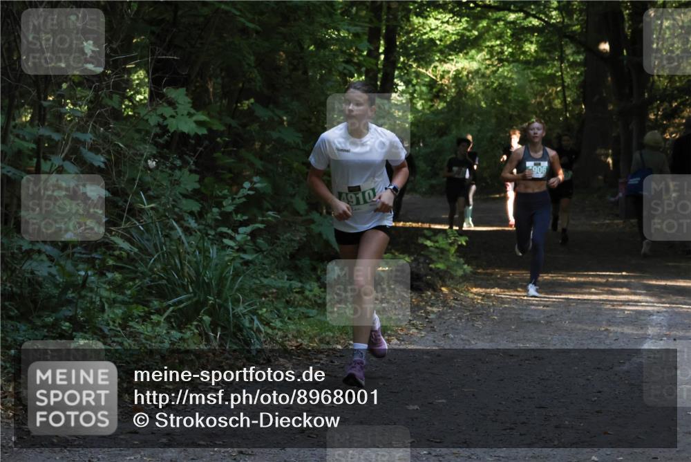 28.09.2025 - 33. Volkslauf durch das schöne Alstertal Strokosch-Dieckow http://msf.ph/oto/8968001 28.09.2025 10:51:03 Laufen 4910, 906 meine-sportfotos.de
