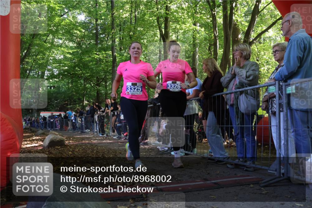 28.09.2025 - 33. Volkslauf durch das schöne Alstertal Strokosch-Dieckow http://msf.ph/oto/8968002 28.09.2025 11:46:56 Ziel 3158, 3325, 3326 meine-sportfotos.de