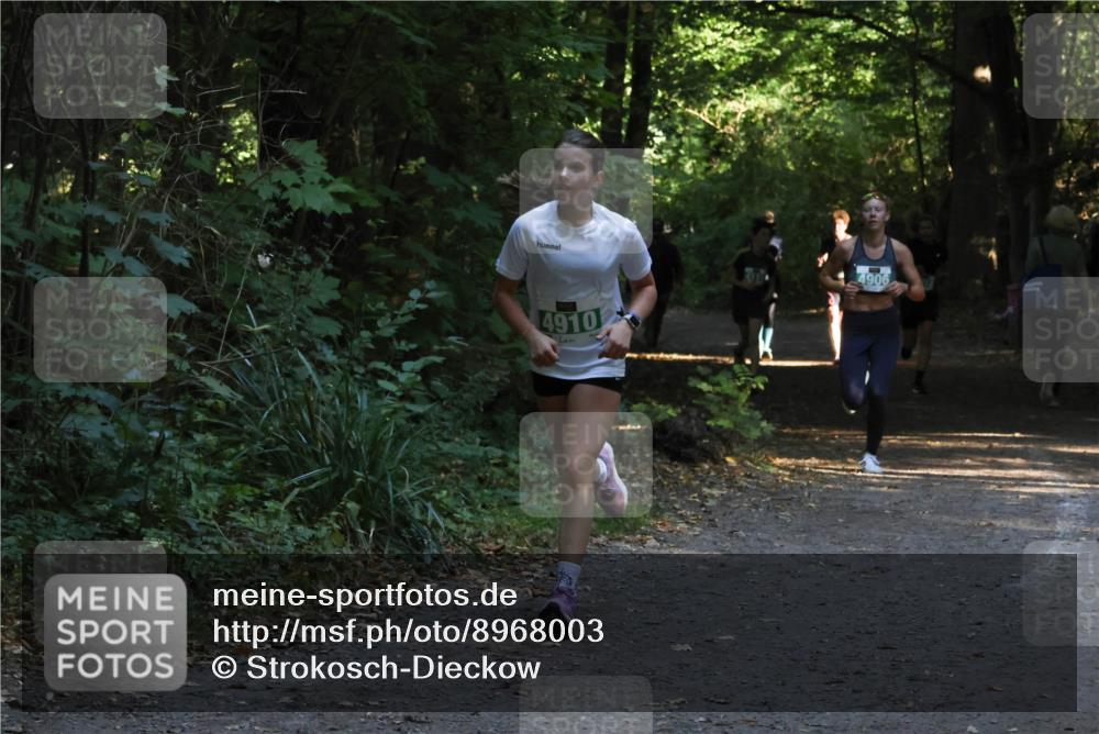 28.09.2025 - 33. Volkslauf durch das schöne Alstertal Strokosch-Dieckow http://msf.ph/oto/8968003 28.09.2025 10:51:03 Laufen 4910, 4906 meine-sportfotos.de