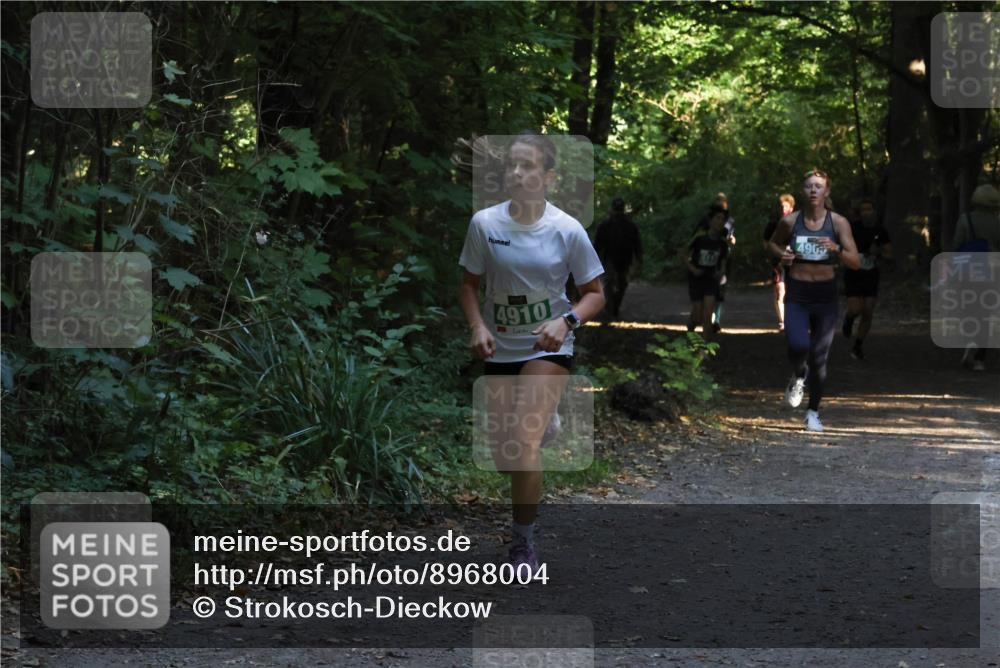 28.09.2025 - 33. Volkslauf durch das schöne Alstertal Strokosch-Dieckow http://msf.ph/oto/8968004 28.09.2025 10:51:03 Laufen 4910, 4969 meine-sportfotos.de