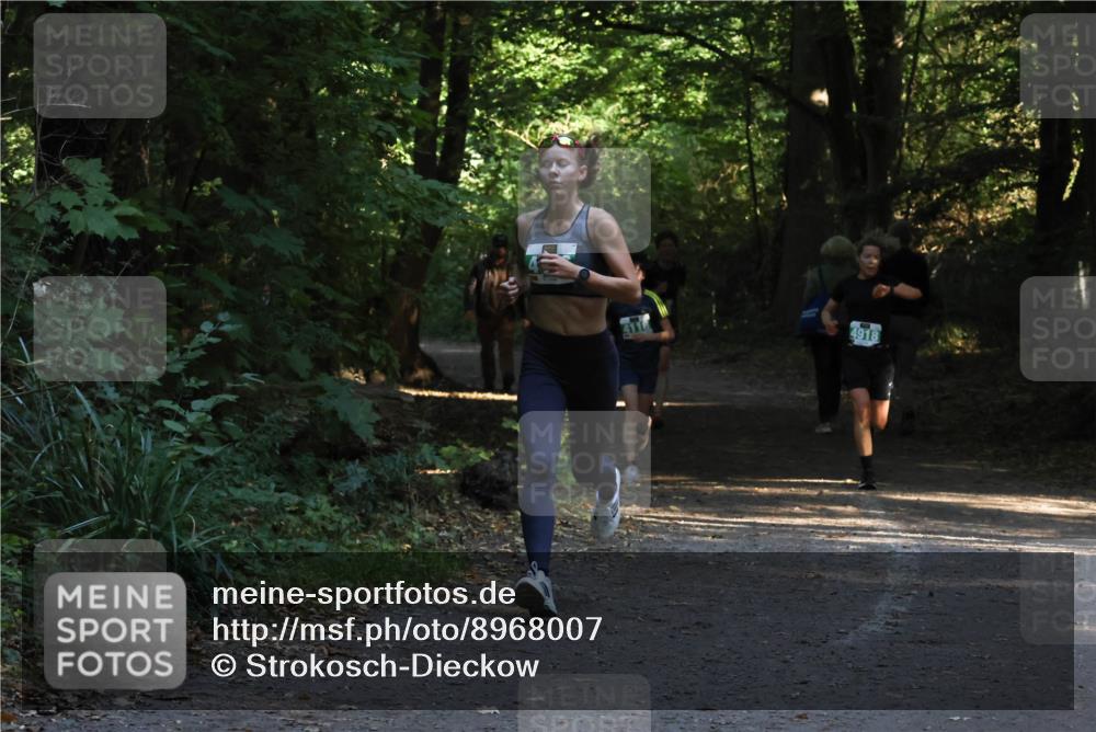 28.09.2025 - 33. Volkslauf durch das schöne Alstertal Strokosch-Dieckow http://msf.ph/oto/8968007 28.09.2025 10:51:04 Laufen 4918 meine-sportfotos.de