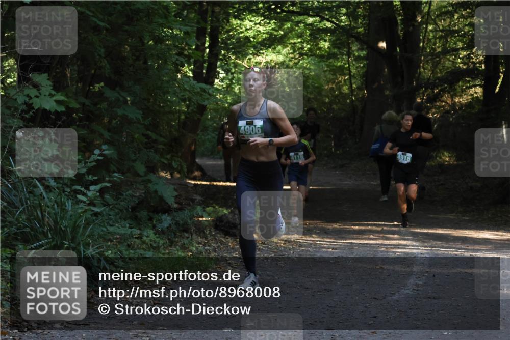 28.09.2025 - 33. Volkslauf durch das schöne Alstertal Strokosch-Dieckow http://msf.ph/oto/8968008 28.09.2025 10:51:04 Laufen 4906, 4118, 4918 meine-sportfotos.de