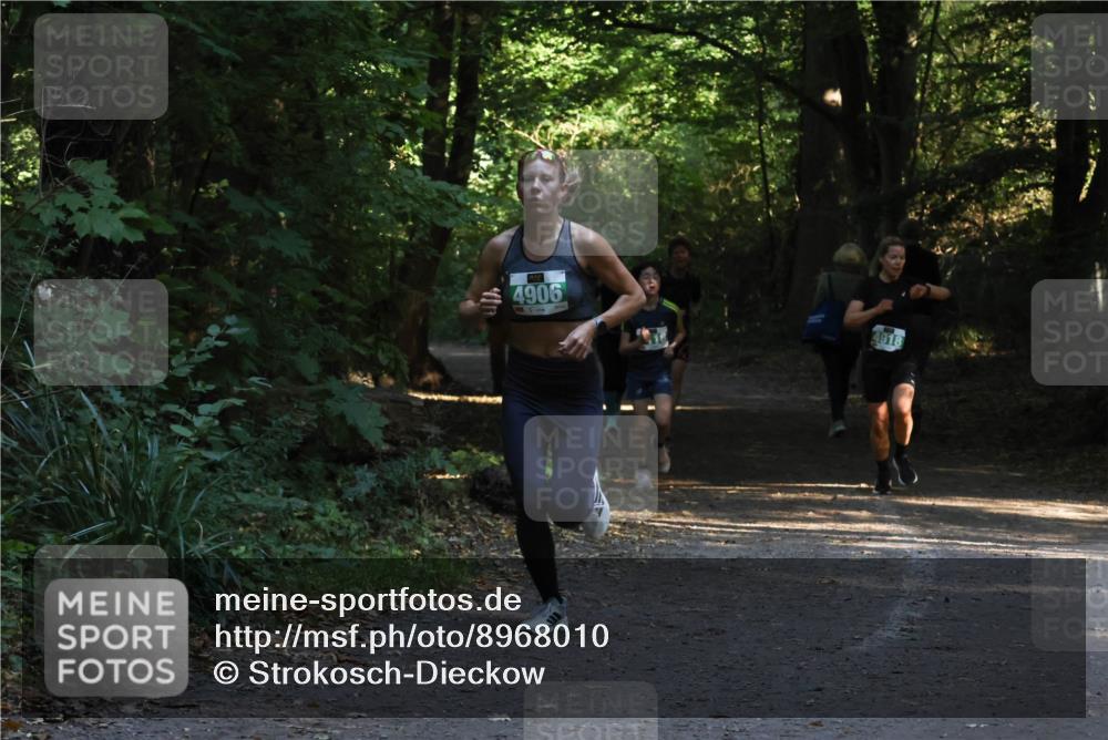 28.09.2025 - 33. Volkslauf durch das schöne Alstertal Strokosch-Dieckow http://msf.ph/oto/8968010 28.09.2025 10:51:04 Laufen 4906, 4918 meine-sportfotos.de