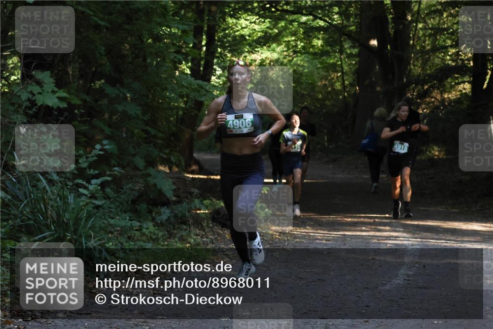 28.09.2025 - 33. Volkslauf durch das schöne Alstertal Strokosch-Dieckow http://msf.ph/oto/8968011 28.09.2025 10:51:04 Laufen 4906, 4918 meine-sportfotos.de