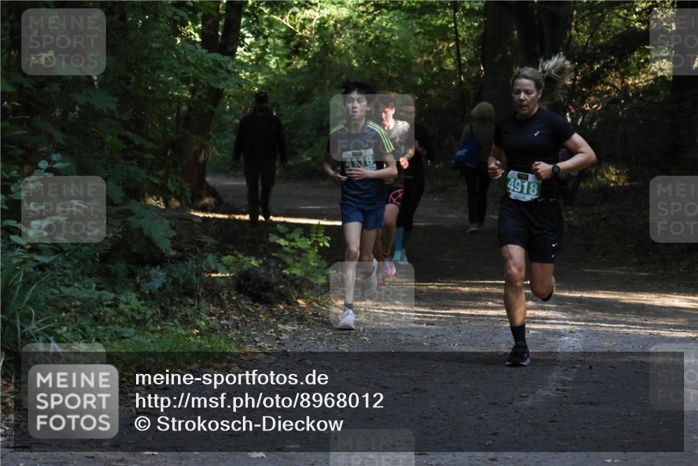 28.09.2025 - 33. Volkslauf durch das schöne Alstertal Strokosch-Dieckow http://msf.ph/oto/8968012 28.09.2025 10:51:06 Laufen 4118, 4918 meine-sportfotos.de