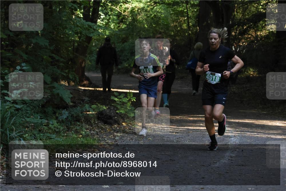 28.09.2025 - 33. Volkslauf durch das schöne Alstertal Strokosch-Dieckow http://msf.ph/oto/8968014 28.09.2025 10:51:06 Laufen 41, 8, 4918 meine-sportfotos.de